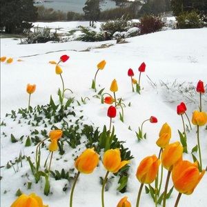 Meet your Posher, Keller